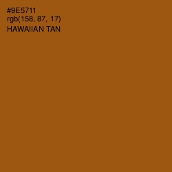 #9E5711 - Hawaiian Tan Color Image